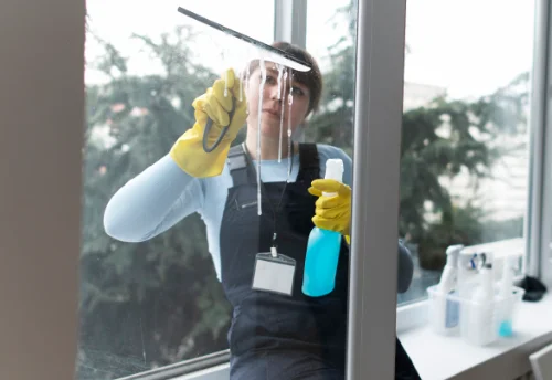 Nettoyage de vitres intérieures et extérieures à Davayé
